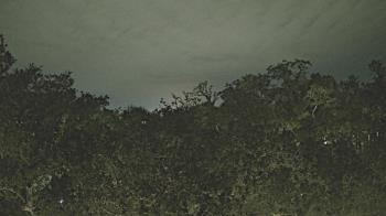 Weather camera view of Metairie Club Gardens.