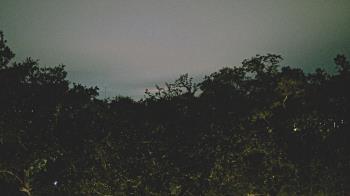 Weather camera view of Metairie Club Gardens.