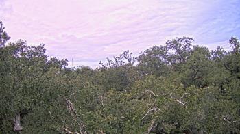 Weather camera view of Metairie Club Gardens.