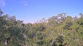 Weather camera view of Metairie Club Gardens.