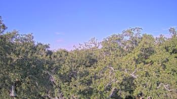 Weather camera view of Metairie Club Gardens.