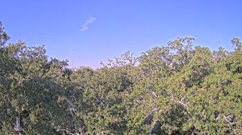 Weather camera view of Metairie Club Gardens.