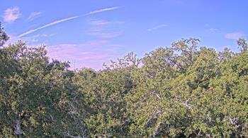 Weather camera view of Metairie Club Gardens.
