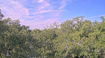 Weather camera view of Metairie Club Gardens.