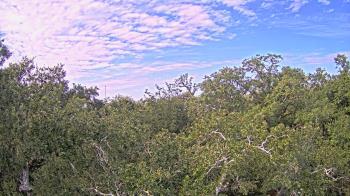 Weather camera view of Metairie Club Gardens.