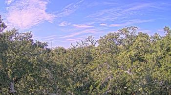 Weather camera view of Metairie Club Gardens.