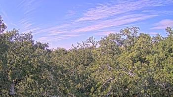 Weather camera view of Metairie Club Gardens.