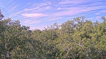 Weather camera view of Metairie Club Gardens.