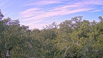 Weather camera view of Metairie Club Gardens.