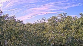Weather camera view of Metairie Club Gardens.