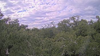 Weather camera view of Metairie Club Gardens.