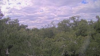 Weather camera view of Metairie Club Gardens.
