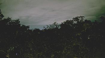 Weather camera view of Metairie Club Gardens.