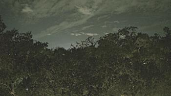 Weather camera view of Metairie Club Gardens.