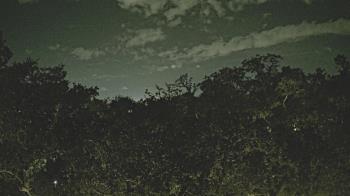 Weather camera view of Metairie Club Gardens.