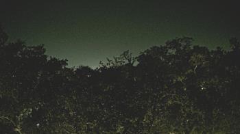 Weather camera view of Metairie Club Gardens.