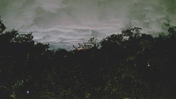 Weather camera view of Metairie Club Gardens.