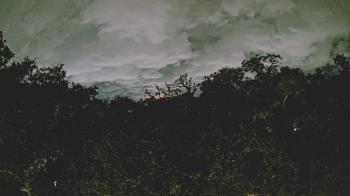 Weather camera view of Metairie Club Gardens.