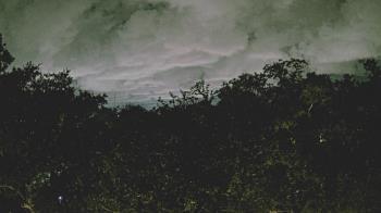 Weather camera view of Metairie Club Gardens.