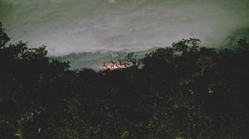 Weather camera view of Metairie Club Gardens.