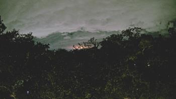 Weather camera view of Metairie Club Gardens.