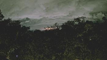 Weather camera view of Metairie Club Gardens.