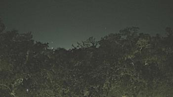 Weather camera view of Metairie Club Gardens.