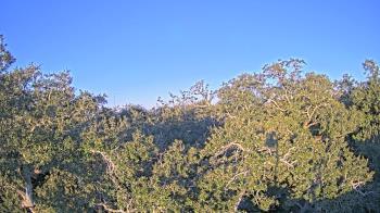 Weather camera view of Metairie Club Gardens.