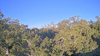 Weather camera view of Metairie Club Gardens.