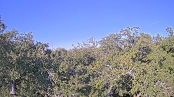 Weather camera view of Metairie Club Gardens.