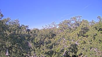 Weather camera view of Metairie Club Gardens.