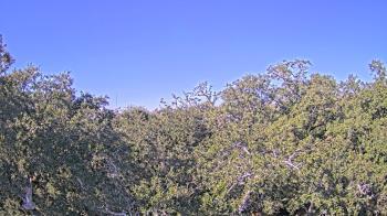 Weather camera view of Metairie Club Gardens.