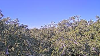 Weather camera view of Metairie Club Gardens.