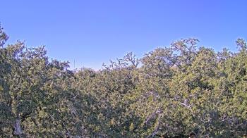 Weather camera view of Metairie Club Gardens.