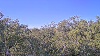 Weather camera view of Metairie Club Gardens.