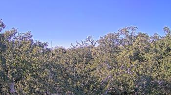 Weather camera view of Metairie Club Gardens.