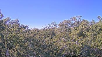 Weather camera view of Metairie Club Gardens.