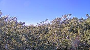 Weather camera view of Metairie Club Gardens.