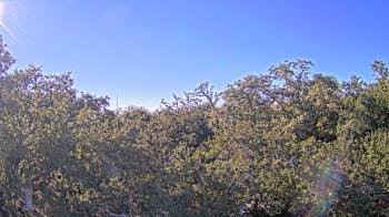 Weather camera view of Metairie Club Gardens.