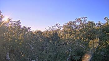 Weather camera view of Metairie Club Gardens.