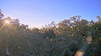 Weather camera view of Metairie Club Gardens.