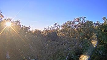 Weather camera view of Metairie Club Gardens.