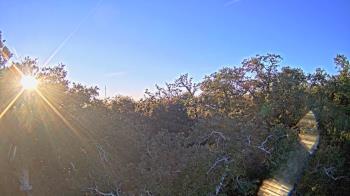 Weather camera view of Metairie Club Gardens.