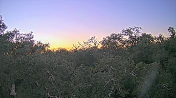 Weather camera view of Metairie Club Gardens.
