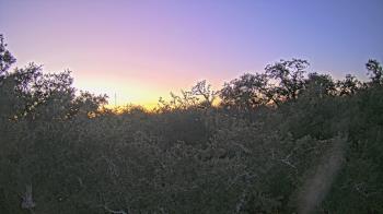 Weather camera view of Metairie Club Gardens.