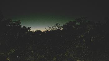 Weather camera view of Metairie Club Gardens.