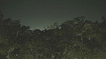 Weather camera view of Metairie Club Gardens.