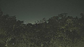 Weather camera view of Metairie Club Gardens.