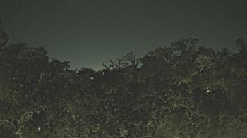 Weather camera view of Metairie Club Gardens.