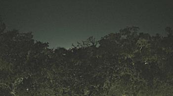 Weather camera view of Metairie Club Gardens.